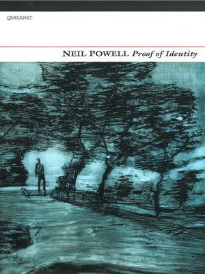 cover image of Proof of Identity